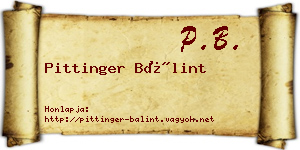 Pittinger Bálint névjegykártya
